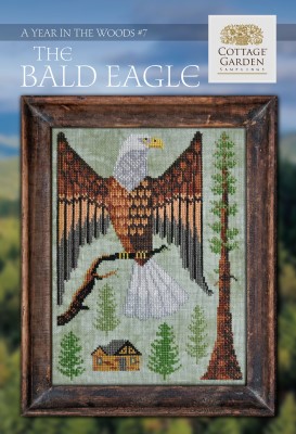 (image for) Year In The Woods 7 - The Bald Eagle